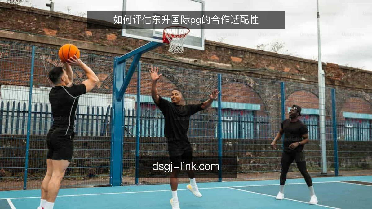 如何评估东升国际pg的合作适配性