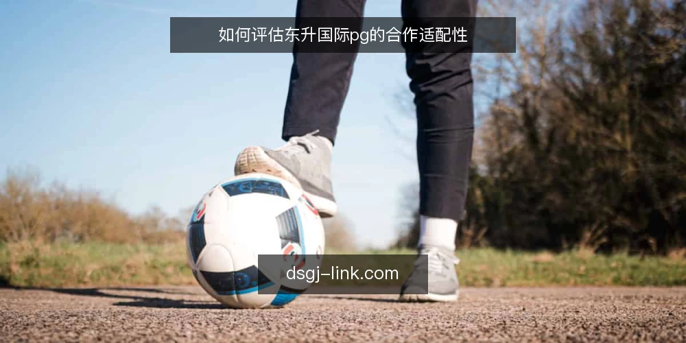 如何评估东升国际pg的合作适配性 — 准备评估所需的资料清单 配图