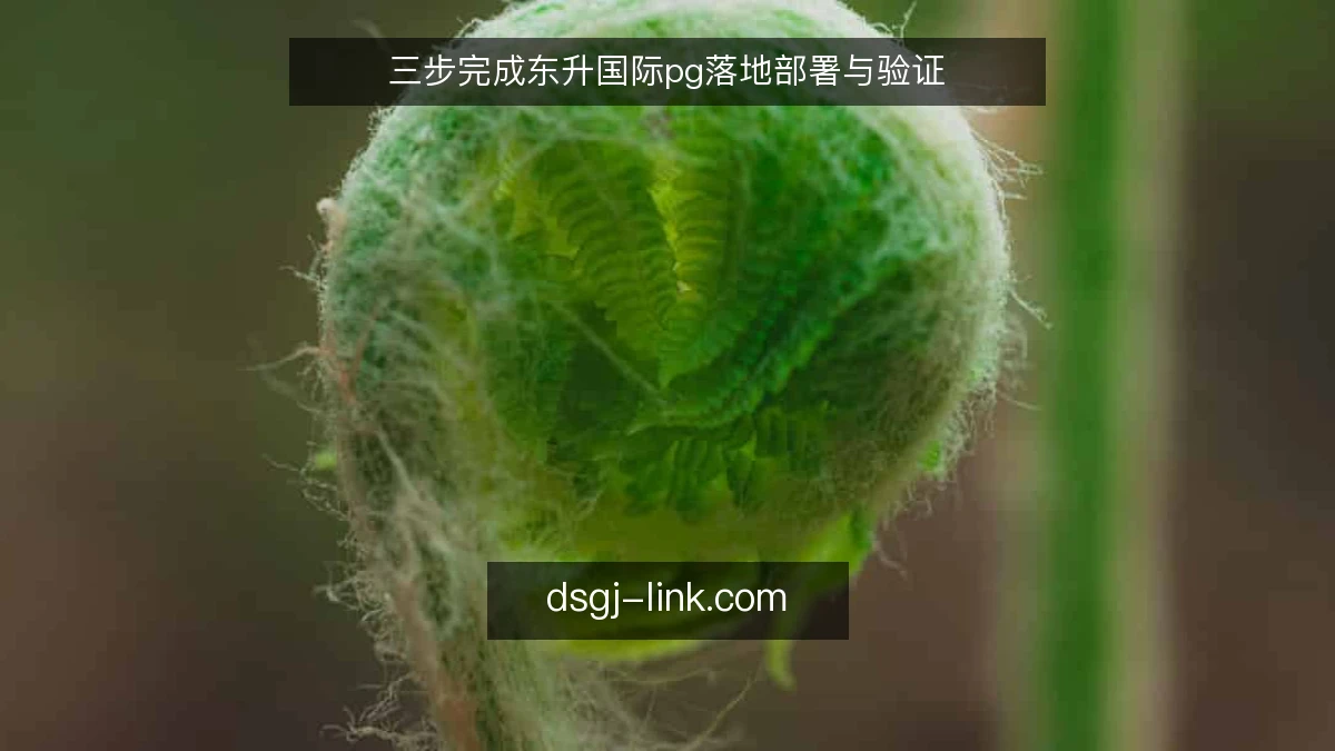 三步完成东升国际pg落地部署与验证