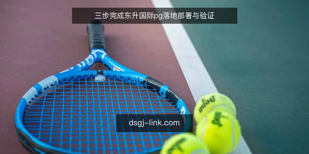 三步完成东升国际pg落地部署与验证 — 准备:明确业务目标与现有环境 配图