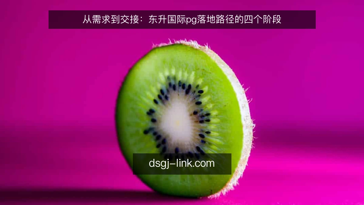 从需求到交接：东升国际pg落地路径的四个阶段