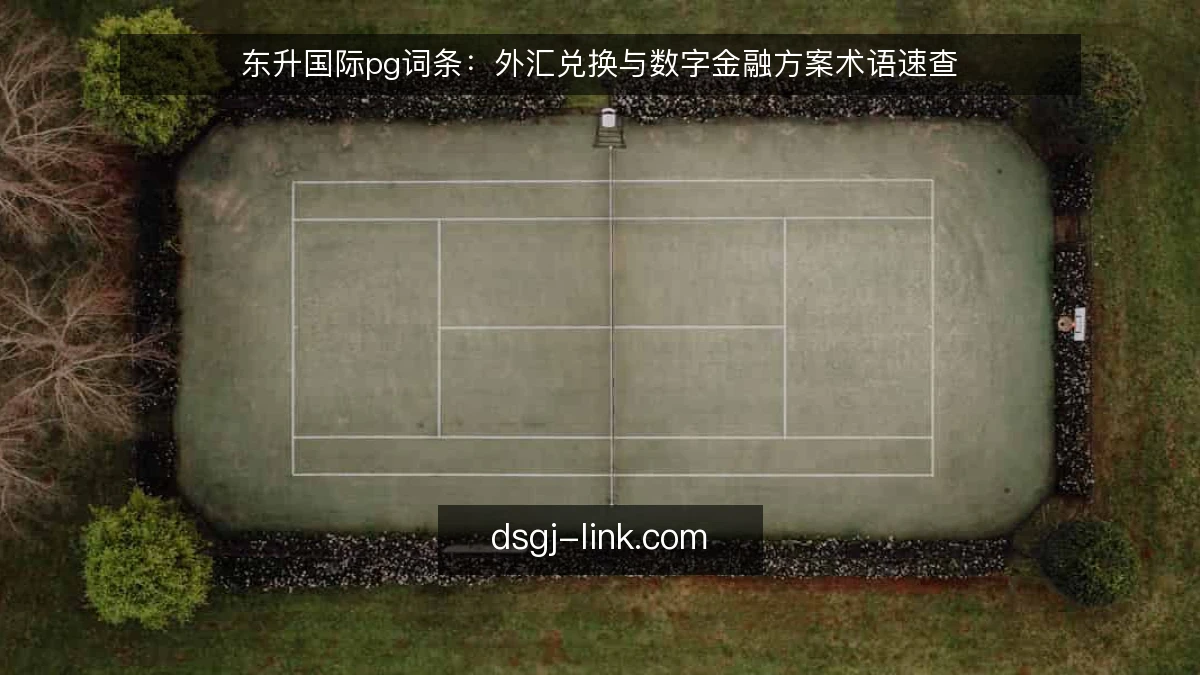 东升国际pg词条：外汇兑换与数字金融方案术语速查