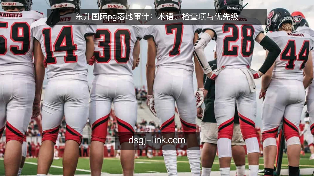 东升国际pg落地审计：术语、检查项与优先级