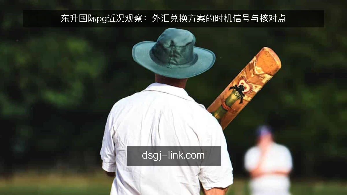 东升国际pg近况观察：外汇兑换方案的时机信号与核对点