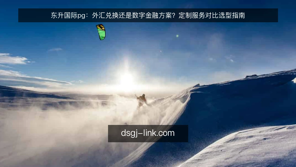 东升国际pg:外汇兑换还是数字金融方案?定制服务对比选型指南
